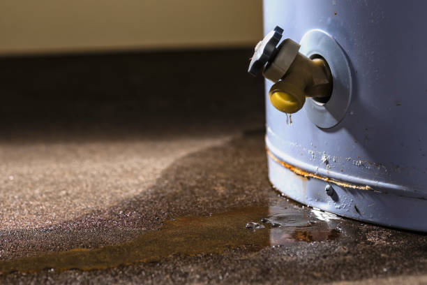 Best Commercial water damage restoration  in North Hartsville, SC