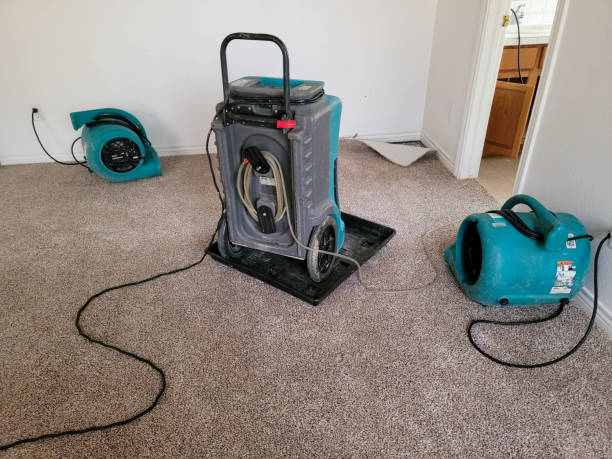 Best Water damage cleanup near me  in North Hartsville, SC