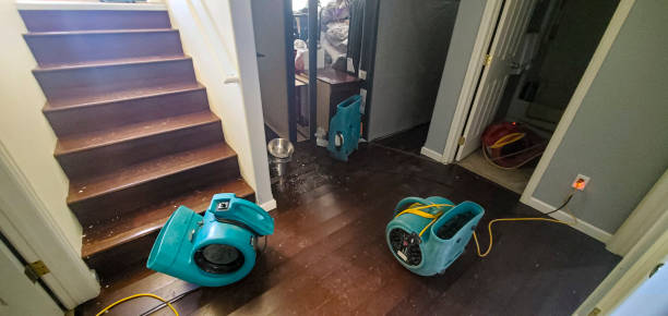 Carpet water damage restoration in SC