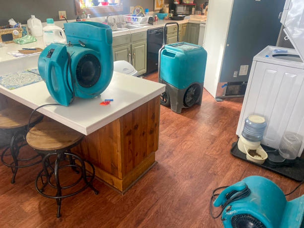 Best Water damage restoration process  in North Hartsville, SC