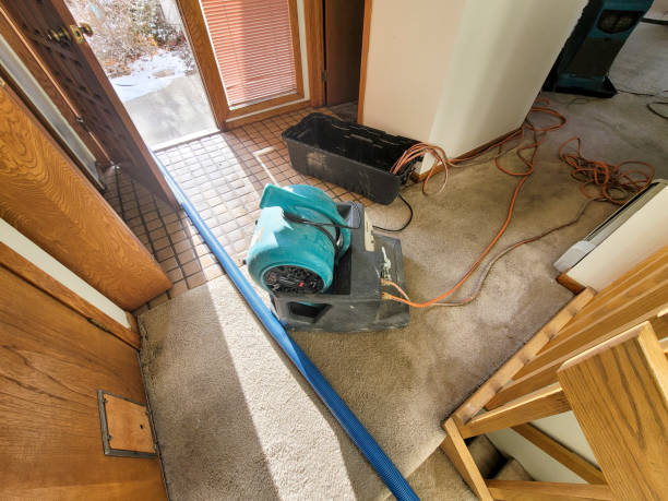 Best Fire Damage Restoration  in North Hartsville, SC