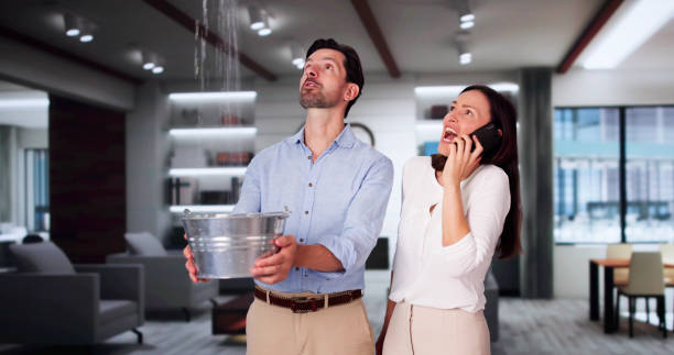 Best 24-hour water damage restoration  in North Hartsville, SC