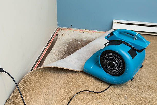Water damage restoration insurance claims in SC
