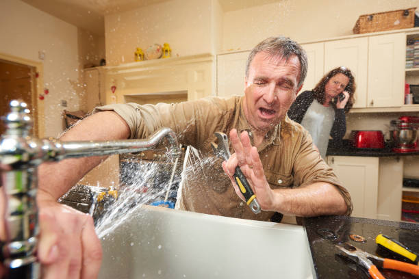 Best Basement water damage restoration  in North Hartsville, SC